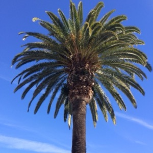 San Diego, California -- Dec 2013